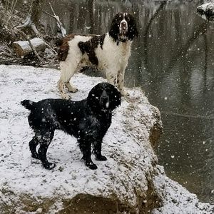 Meet your Posher, Alanna